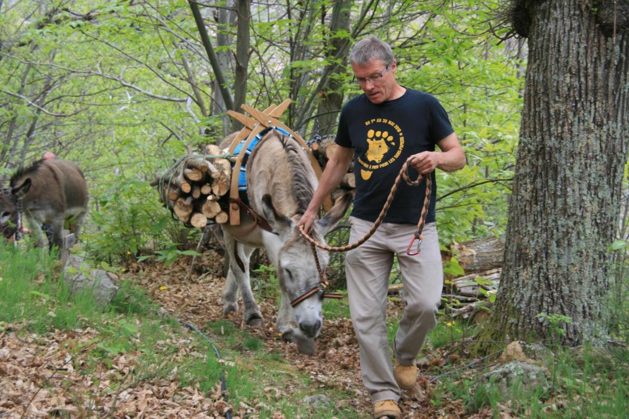 Gite De Chapeleche Les Chataigniers Gluiras Екстериор снимка
